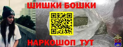 индика Комсомольск-на-Амуре