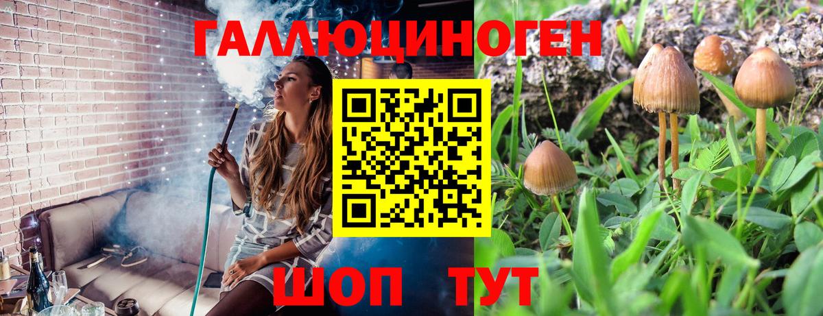 Галлюциногенные грибы ЛСД Дербент