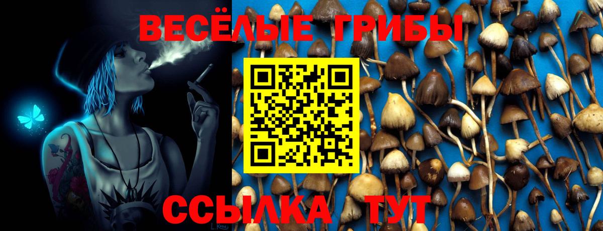 Галлюциногенные грибы Psilocybine cubensis  Вход с VPN  Дербент 